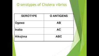 Vibrio Cholerae [upl. by Ahab]