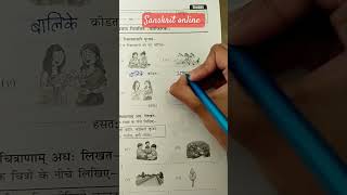 Sanskrit grammar practice for beginners practicewithme exampreperation [upl. by Leuas]