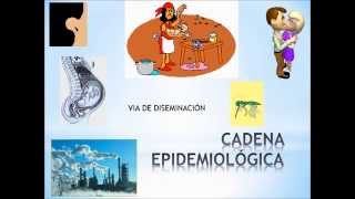 Lección Cadena Epidemiológica [upl. by Refinej]