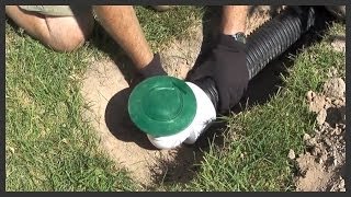 How to install a lawn popup drain [upl. by Gerrald]