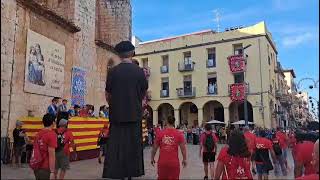 TROBADA DE GEGANTS FESTES QUINQUENNALS DULLDECONA 2024 [upl. by Sebastiano266]