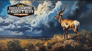 Hunting Pronghorn with the 12ga slug [upl. by Miarfe]