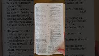 NASB Book of Psalms Chapter 66 [upl. by Raye]