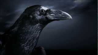 The Three Ravens Jack the Ripper HD  Lyrics [upl. by Jacoby221]