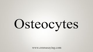 How To Say Osteocytes [upl. by Shannon]