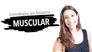 Sistema Muscular 16 Introdução  Anatomia e etc [upl. by Ahseym]