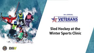 Sled Hockey at the Winter Sports Clinic [upl. by Perr]