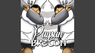 Paysan Breton Remix [upl. by Lempres54]