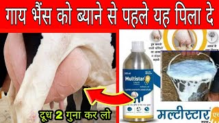 पसुओ में मल्टीस्टार का उपयोग Multistar H use in veterinary Hindi  Vet all info [upl. by Jameson]