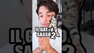 Il gatto sasso 2 🐈 [upl. by Leirum]