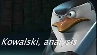 Kowalski analysis [upl. by Nulubez]