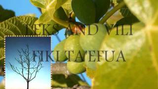 Fiki Taefuawmv [upl. by Anastase]