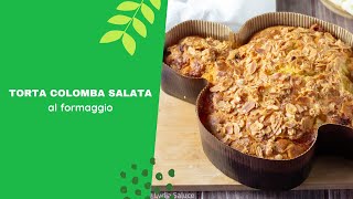 Torta colomba salata al formaggio [upl. by Norse]