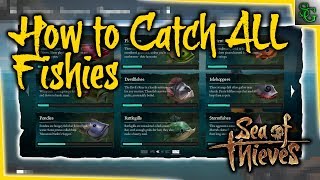 Sea of Thieves  How to Catch all of the Fish Locations and Tips and Tricks [upl. by Ellevehs665]