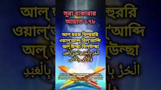 সূরা বাকারার ১৭৮ আয়াত surah bakarar 178 ayat surah shorts [upl. by Stephie]