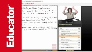 Alpha Helix and Beta Conformation  Biochemistry Tutorial [upl. by Bunnie929]