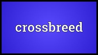 Crossbreed Meaning [upl. by Sedinoel786]