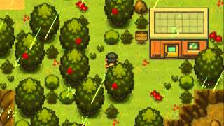 Pokemon Liquid Crystal Remake Part 172 Safari Town [upl. by Ynnav]