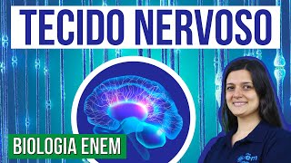 OS NEURÔNIOS E O TECIDO NERVOSO Características e funções nos humanos Claudia Aguiar Curso Enem [upl. by Courtney987]