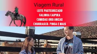 Viagem Rural  Leite e pasteurização  Galinha Caipira ou de Granja  Legumes Orgânicos  Pinga [upl. by Phaih]