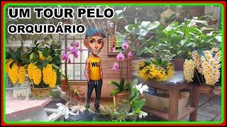 UM TOUR NO ORQUIDARIO E MUITAS FLORES E UM BATE PAPO COM VOCES [upl. by Sisile]