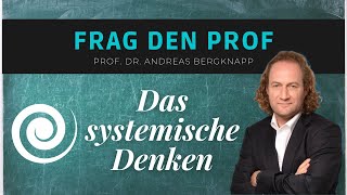 Frag den Prof  Systemisches Denken  Hochschule Nordhausen [upl. by Yrret523]