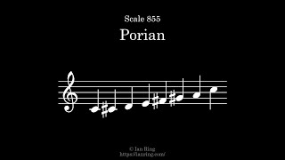 Scale 855 Porian [upl. by Yenreit]