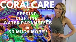 Coral Care  Feeding Lighting Reef Parameters amp More  Mindis Coral Reef [upl. by Acisey535]