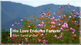 His Love Endures Forever with Lyrics from Lamb of God 4K [upl. by Ecenaj]