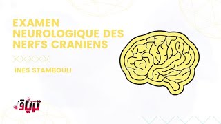 Sémiologie  LEXAMEN DES NERFS CRANIENS partie 1 par INES STAM [upl. by Coppinger]