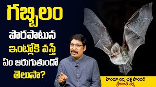 True Facts About The Bats  Bat In House  Gabbilam Intloki Vaste  Srikanth Sharma  SS [upl. by Roch415]