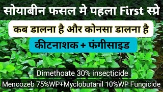 सोयाबीन फसल में कीटनाशक का पहला स्प्रे Soybean crop top first sprey in insecticide [upl. by Schroeder]