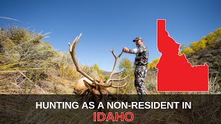 Hunt Idaho as a NonResident  Mastering the Draw [upl. by Yule213]