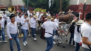 Banda Persica  La MerejildaSi ChuyEl Gavilancillo  En San Sebastian Tecoloxtitlan 2024 [upl. by Irod]