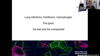 quotLung infections interferons macrophages The good the bad and the unexpectedquot by Dr Andreas Wack [upl. by Sven]