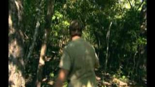 Steve Irwin  Most Dangerous Encounters Part 9 [upl. by Stover]