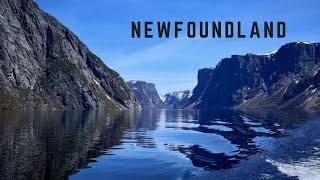 11 Day Road Trip in Newfoundland [upl. by Kcirneh275]