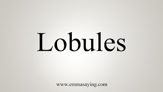 How To Say Lobules [upl. by Eralcyram152]