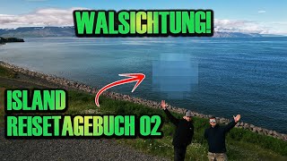 Walsichtung in Island  Island Reisetagebuch 2 [upl. by Menard380]