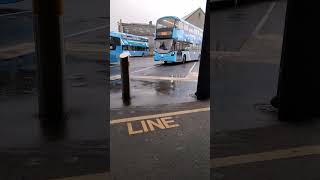 Buses at Newtownards Bus Station [upl. by Asia]