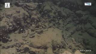 Pillow Lava Deep Sea [upl. by Marilou]