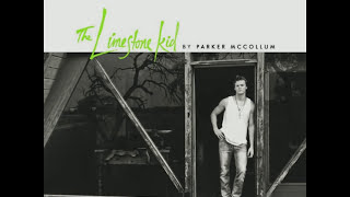 Parker McCollum  All Day Official Lyric Video [upl. by Aihsekyw]