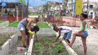 Manguinhos Favela Garden [upl. by Lilak]