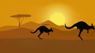 Kangaroos  Fun Facts [upl. by Fariss]