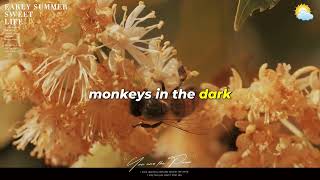 Saggy Baggy Monkeys Lyrics🌷🌷Golden Oldies Greatest Hits 50s 60s 70s [upl. by Reviel]