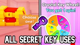 PET SIMULATOR 99  ALL SECRET KEY DOOR LOCATIONSAREAS How to Use Secret Keys [upl. by Cila]