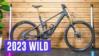 Is the 2023 Orbea Wild the Benchmark EMTB [upl. by Aisatal]