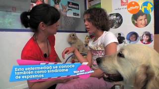 Más que mascotas  Fundación Síndrome de West  Más que perros y gatos 4  Fundación Affinity [upl. by Sprague279]