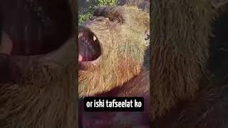 Gorilla 😱 History of the Gorilla  Information World🌍shortsshortvideoyoutubeshorts [upl. by Idnem598]