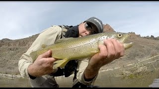 Owyhee Spring Skwalas [upl. by Anilam]